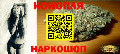 прущие грибы Можга