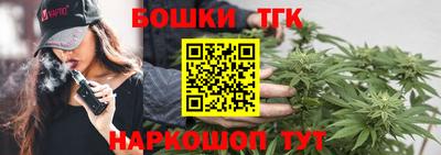 гидра Моздок