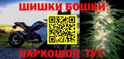 прущие грибы Можга