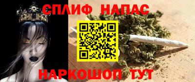 прущие грибы Можга