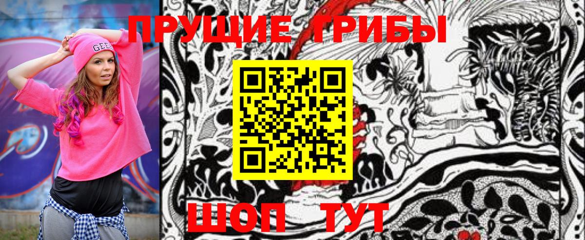 Галлюциногенные грибы Psilocybe  Псилоцибиновые грибы MAGIC MUSHROOMS  Вход с VPN  Топки 