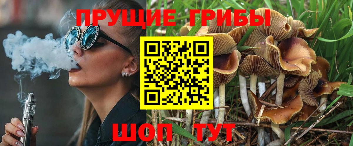 Галлюциногенные грибы Psilocybine cubensis Топки